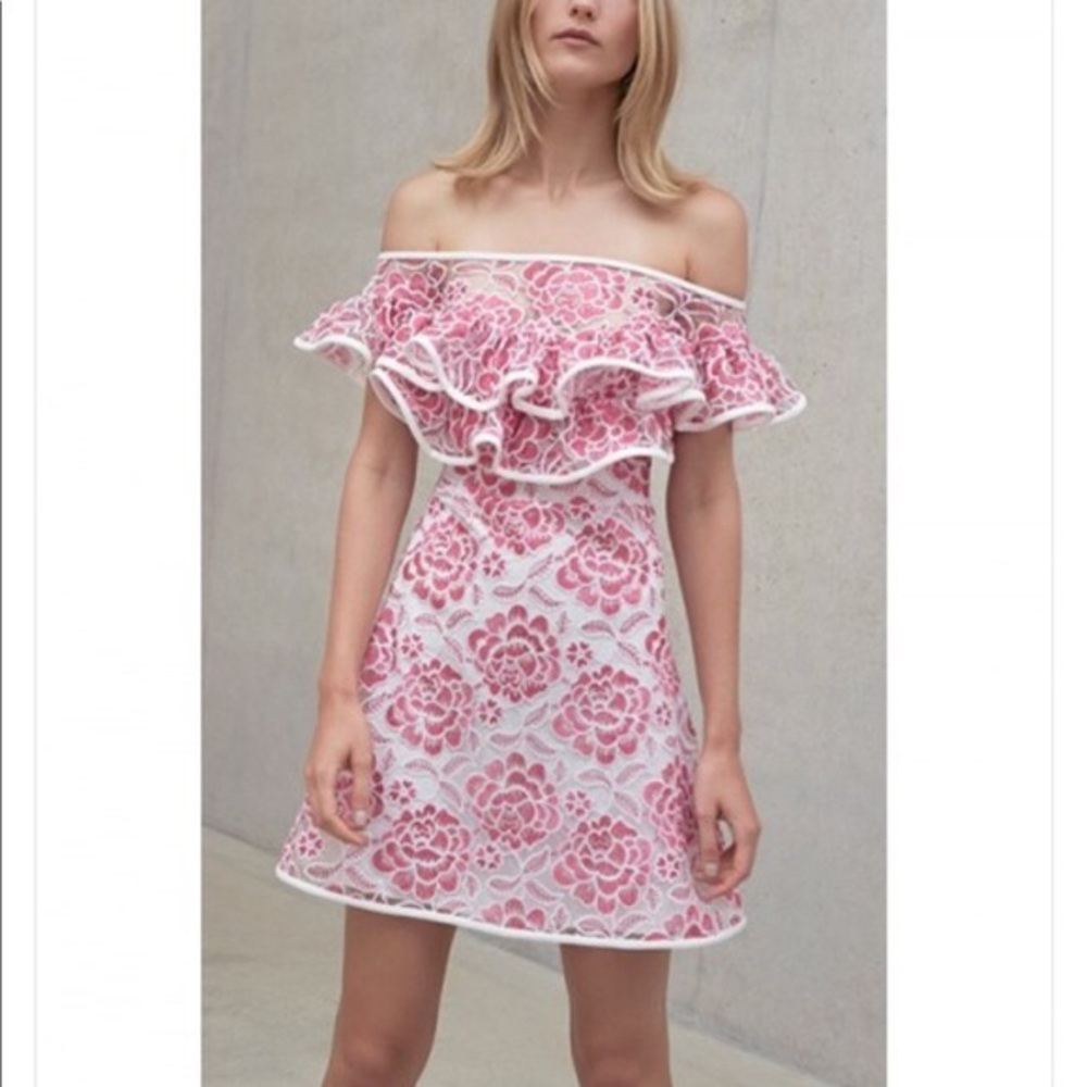 Alexis Paula Embroidered Lace Pink Floral Dress XS